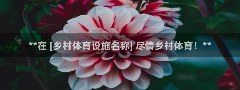 意昂3开户：**在 [乡村体育设施名称] 尽情乡村体