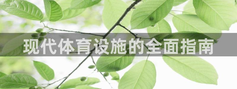 意昂体育3平台注册流程视频：现代体育设施的全面指南