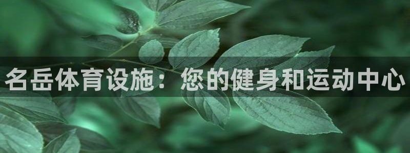 意昂3五金厂：名岳体育设施：您的健身和运动中心
