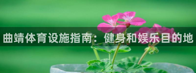 意昂3娱乐代理怎么样：曲靖体育设施指南：健身和娱乐目的地
