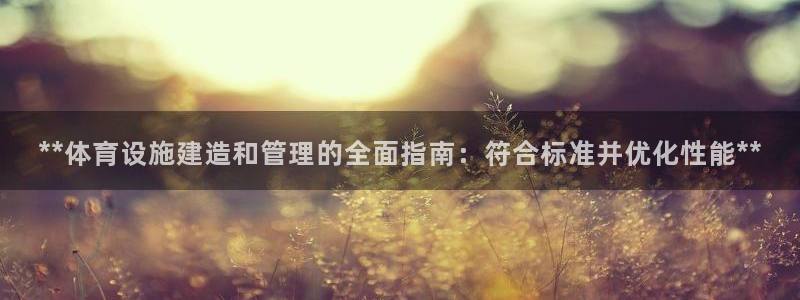 意昂3五金厂：**体育设施建造和管理的全面指南：符合标准并优