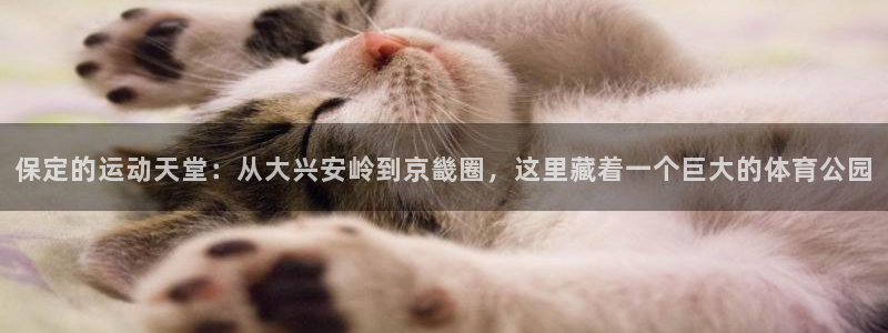 意昂体育3平台假的吗是真的吗