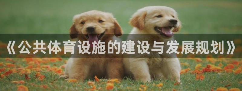 意昂体育3平台假的吗是真的吗吗