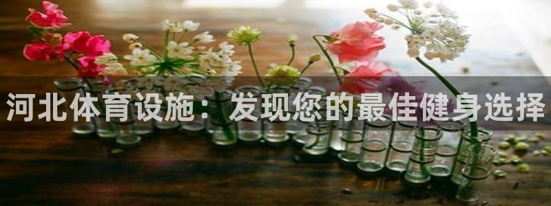 意昂3新能源：河北体育设施：发现您的最佳健身选择