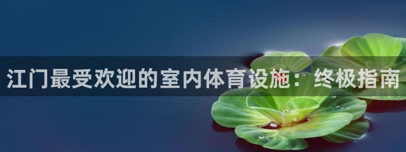 意昂3官网：江门最受欢迎的室内体育设施：终极指南