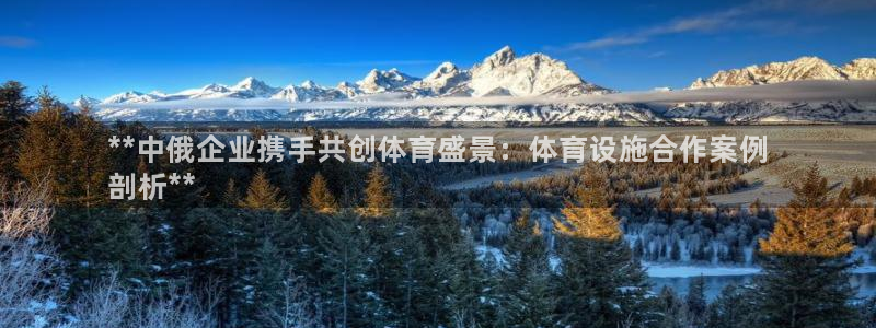 意昂体育3招商电话号码查询：**中俄企业携手共创体育盛景：体