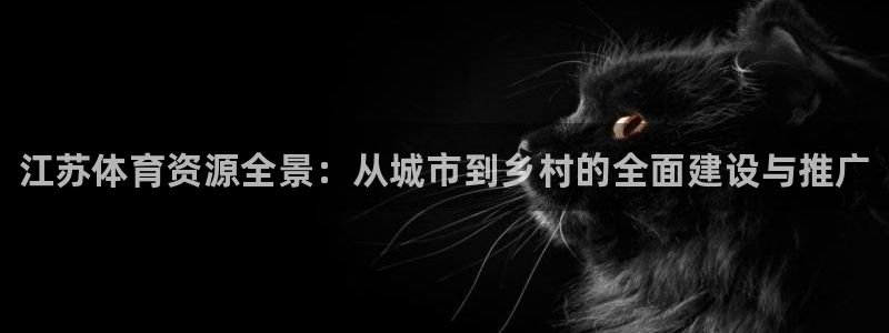 意昂平台体育：江苏体育资源全景：从城市到乡村的全面建设与推广 