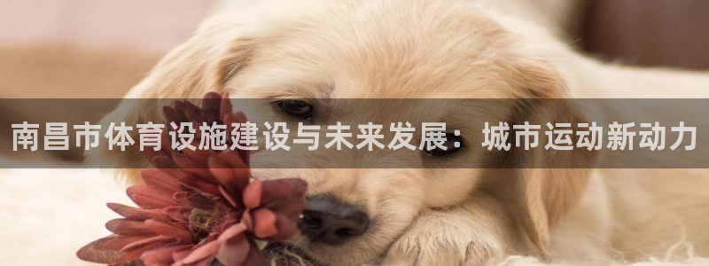 意昂体育3平台注册流程视频：南昌市体育设施建设与未来发展：城