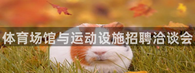 意昂平台体育：体育场馆与运动设施招聘洽谈会