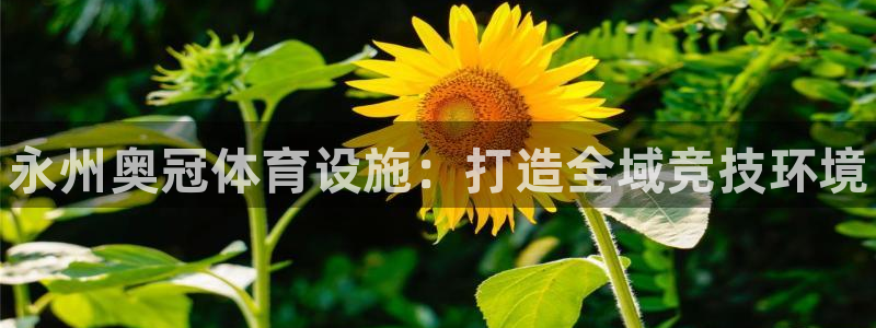 意昂体育3娱乐：永州奥冠体育设施：打造全域竞技环境