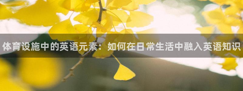 意昂3新能源：体育设施中的英语元素：如何在日常生活中