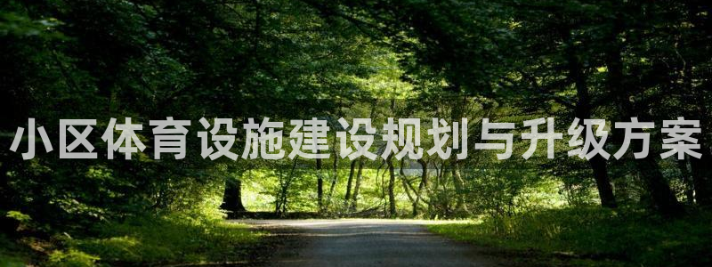 意昂3集团：小区体育设施建设规划与升级方案