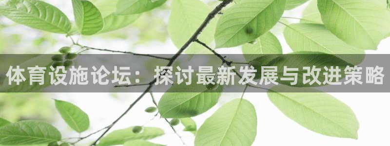 德国意昂3集团：体育设施论坛：探讨最新发展与改进策略