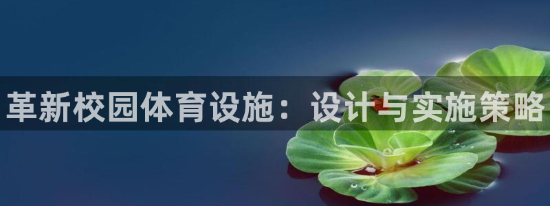 意昂体育3招商电话是多少：革新校园体育设施：设计与实