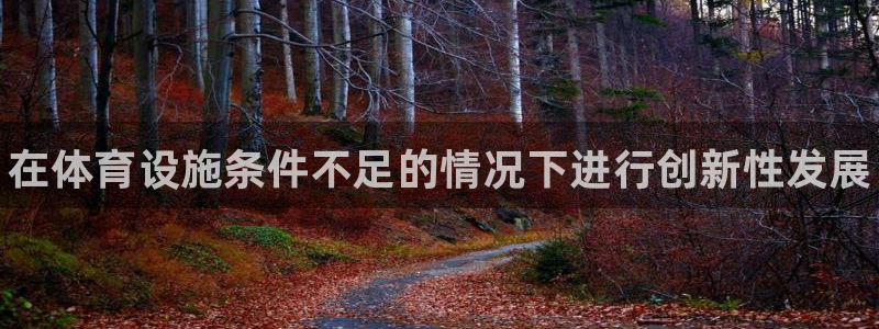 意昂3官网：在体育设施条件不足的情况下进行创新性发展