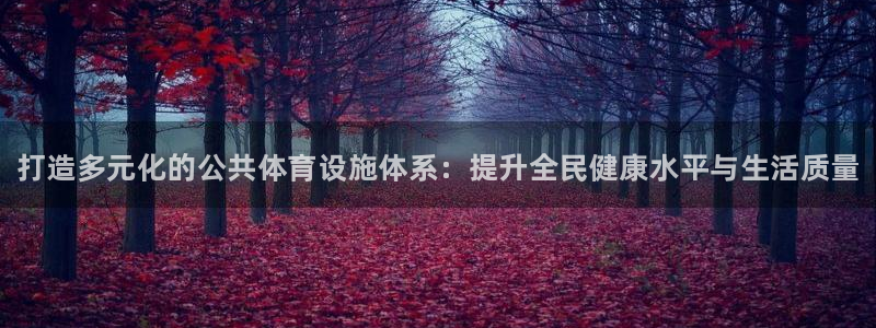 意昂3集团：打造多元化的公共体育设施体系：提升全民健康水平与