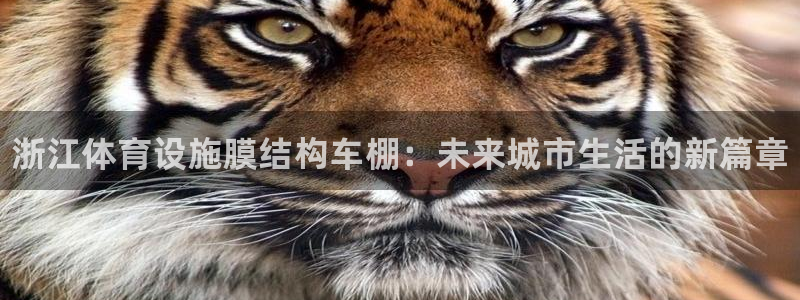 意昂3娱乐代理怎么样：浙江体育设施膜结构车棚：未来城市生活的 