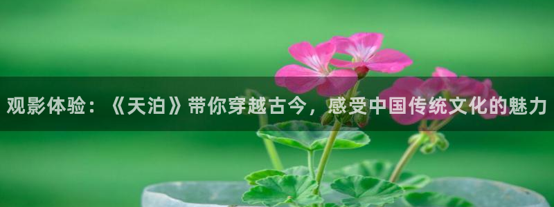 海狮视频app下载：观影体验：《天泊》带你穿越古今，感受中国传统文化的魅力
