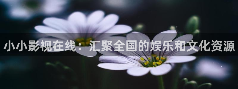 海狮视频电视剧免费观看全集：小小影视在线：汇聚全国的娱乐和文化资源